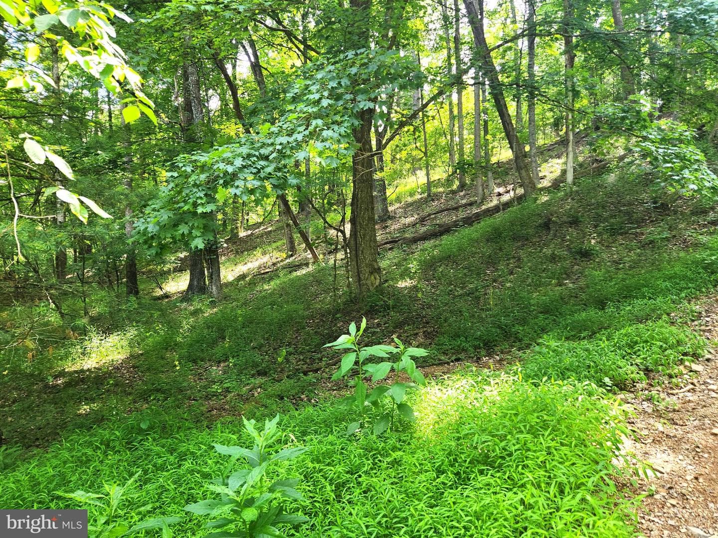 217 Lansing Road photo 24