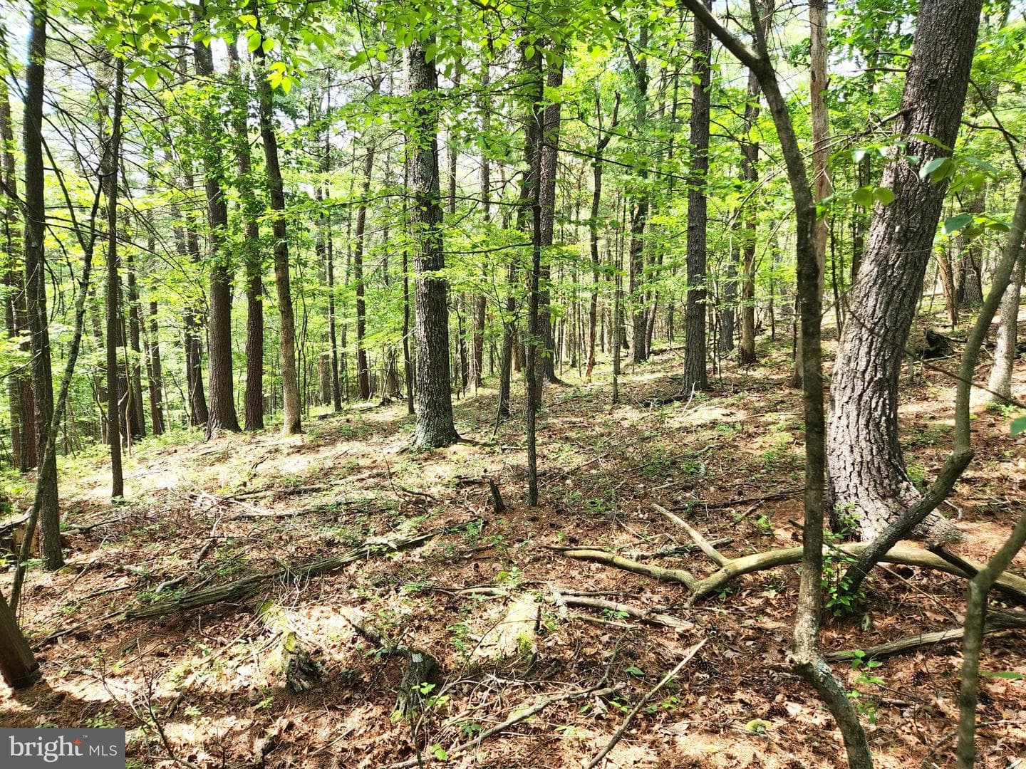 217 Lansing Road photo 28