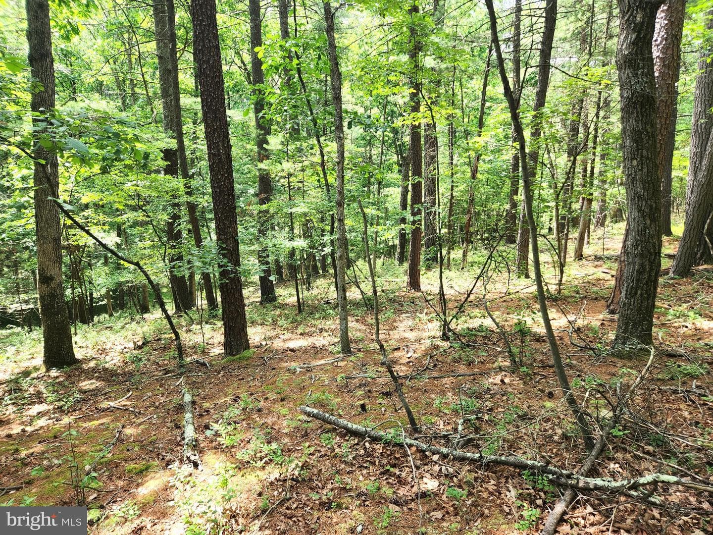 217 Lansing Road photo 29