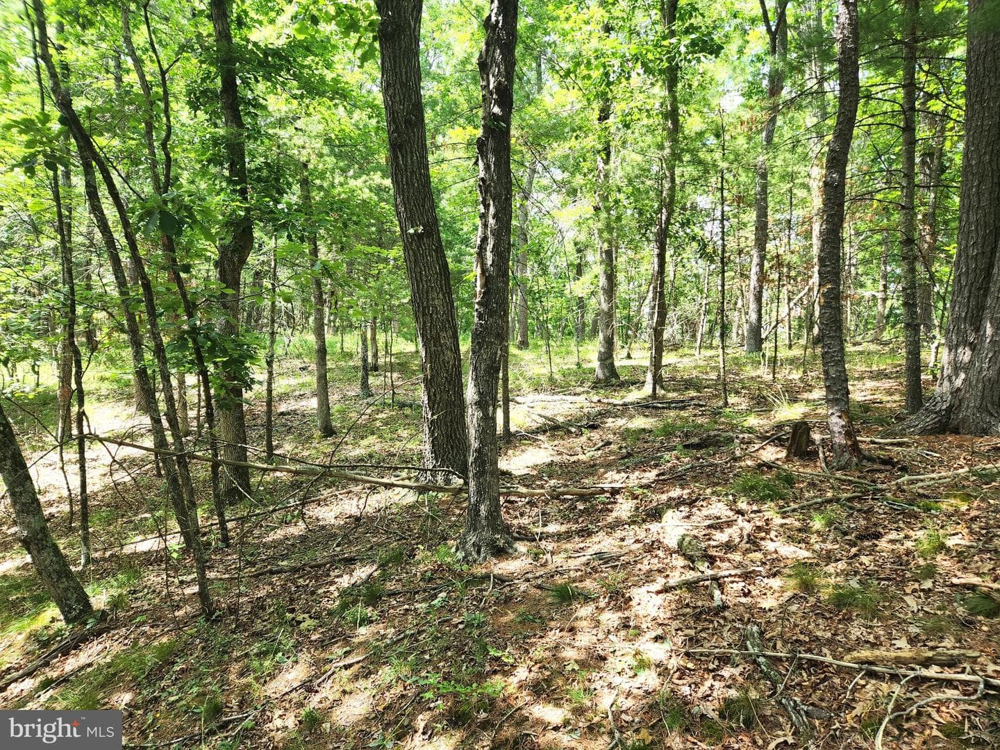217 Lansing Road photo 31