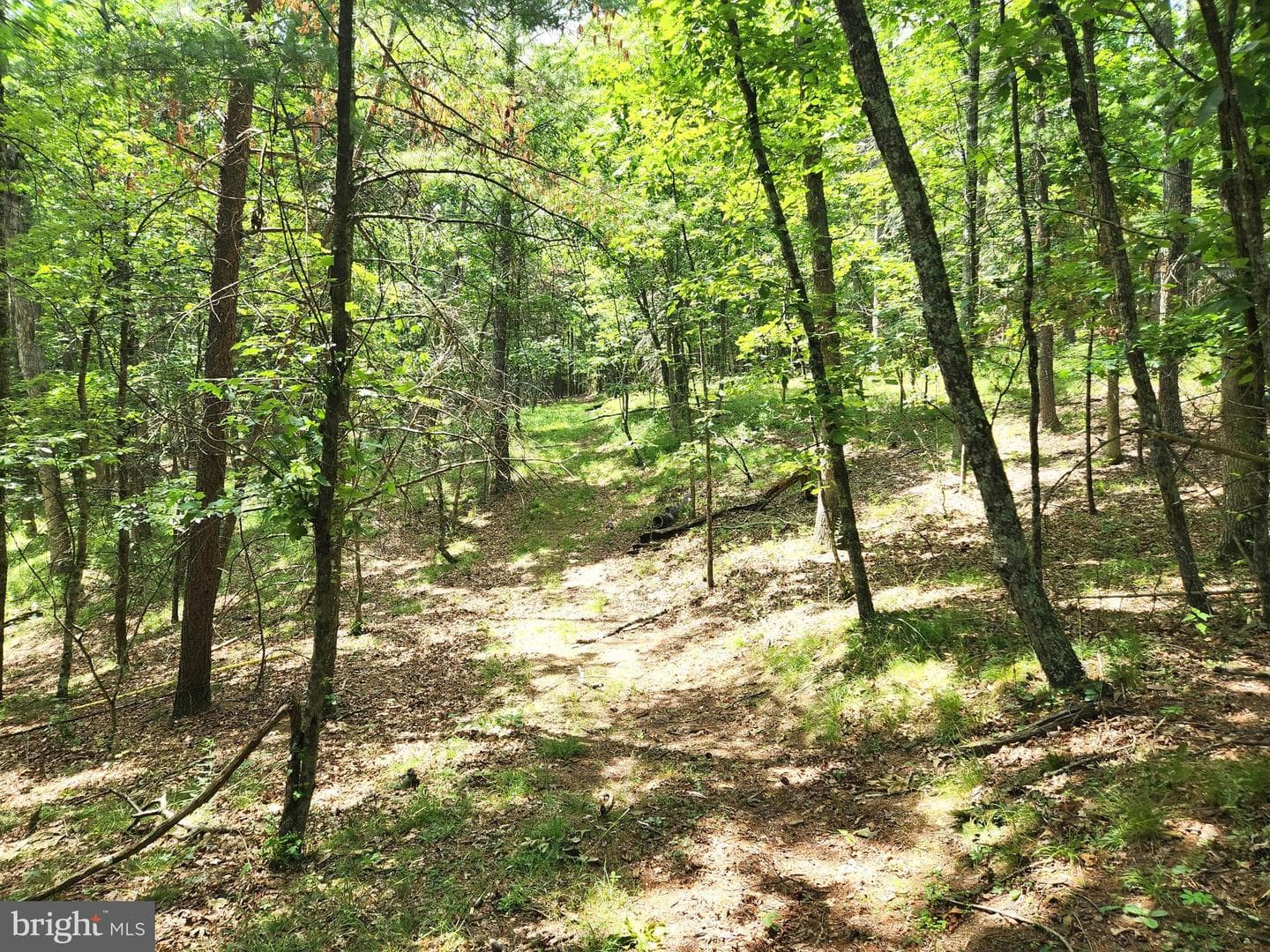 217 Lansing Road photo 32