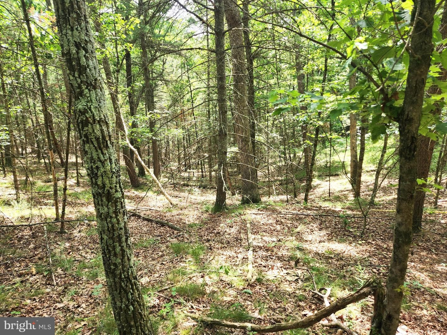 217 Lansing Road photo 33