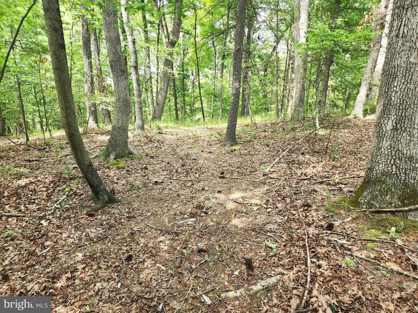 217 Lansing Road photo 38