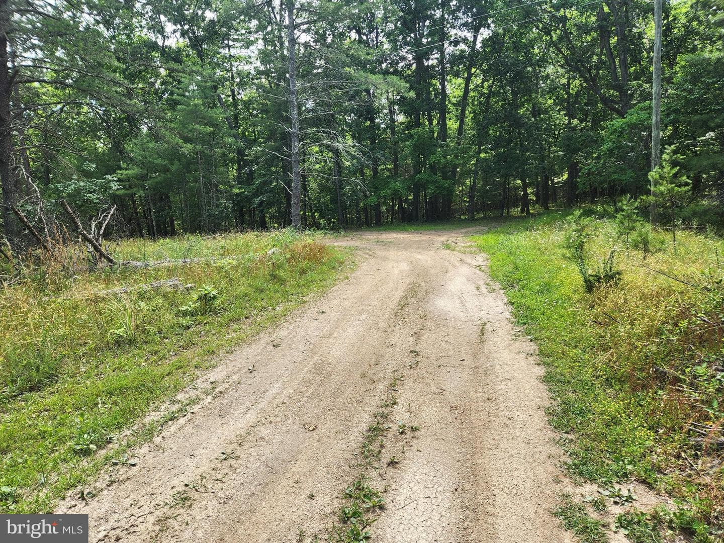 217 Lansing Road photo 40
