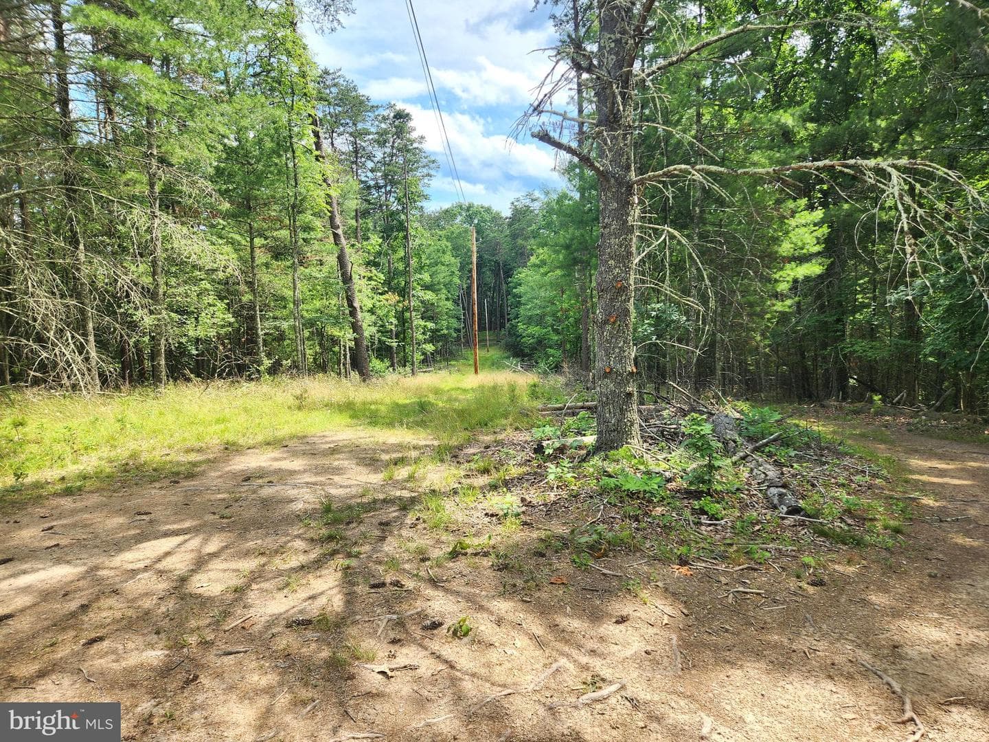 217 Lansing Road photo 41