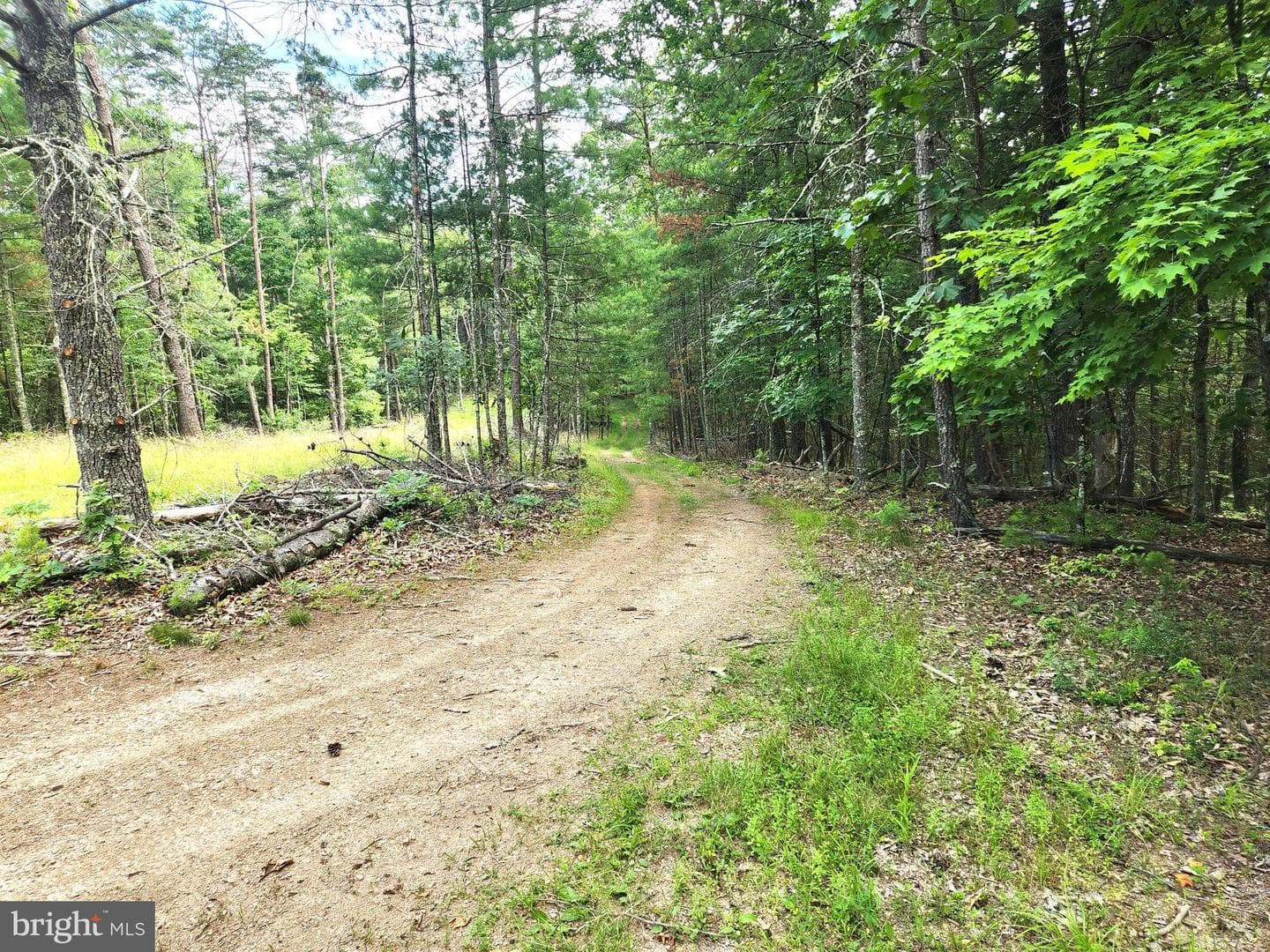 217 Lansing Road photo 42