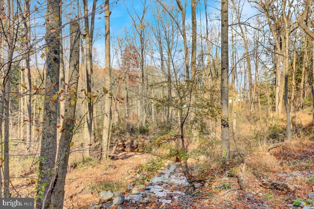 110 Poplar Road photo 30