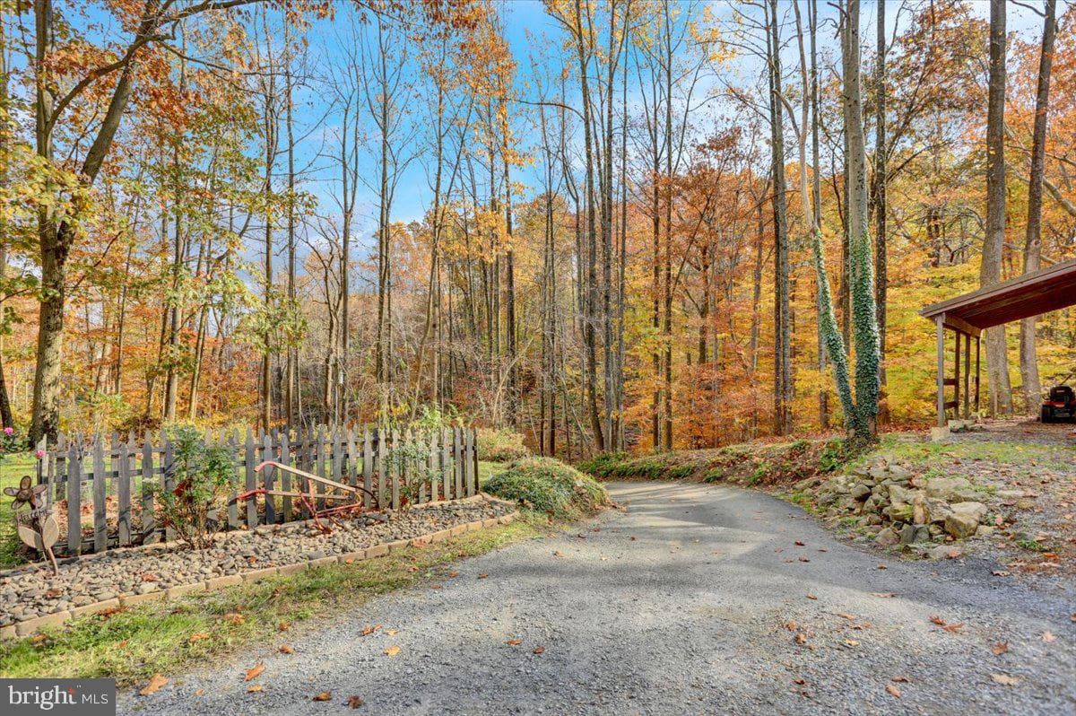 110 Poplar Road photo 31