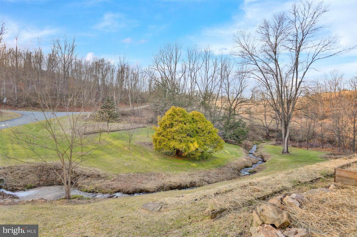 165 Nursery Road photo 50
