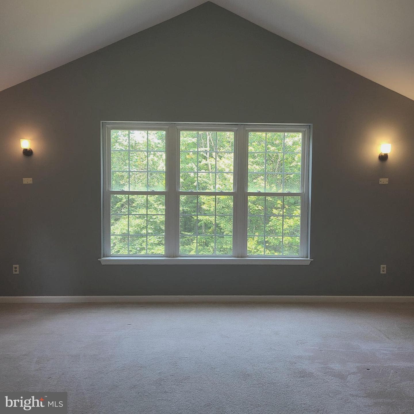 13 Whitetail Drive photo 37