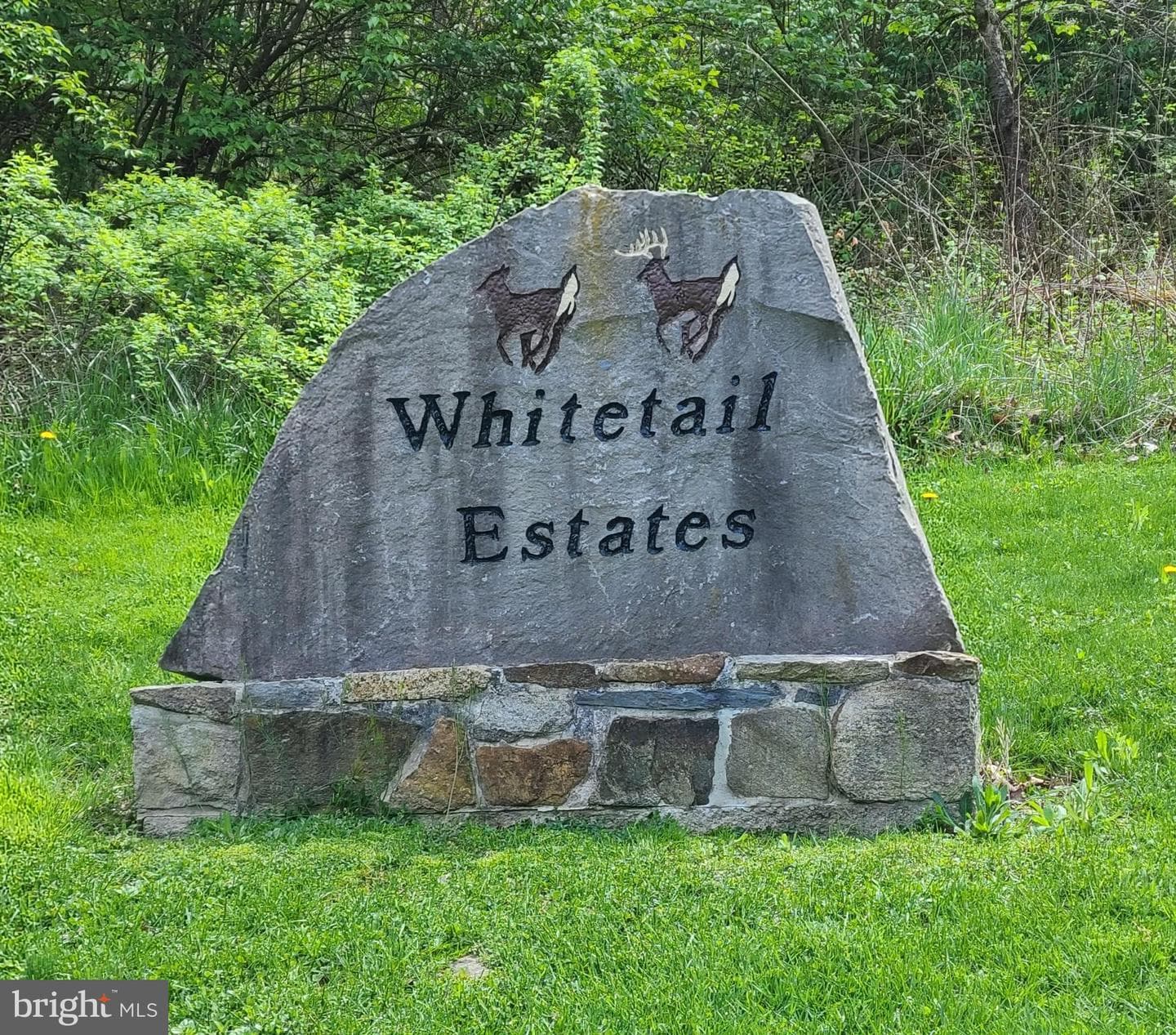 13 Whitetail Drive photo 5