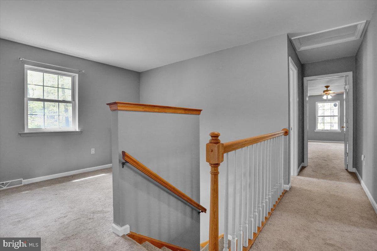 13 Whitetail Drive photo 57