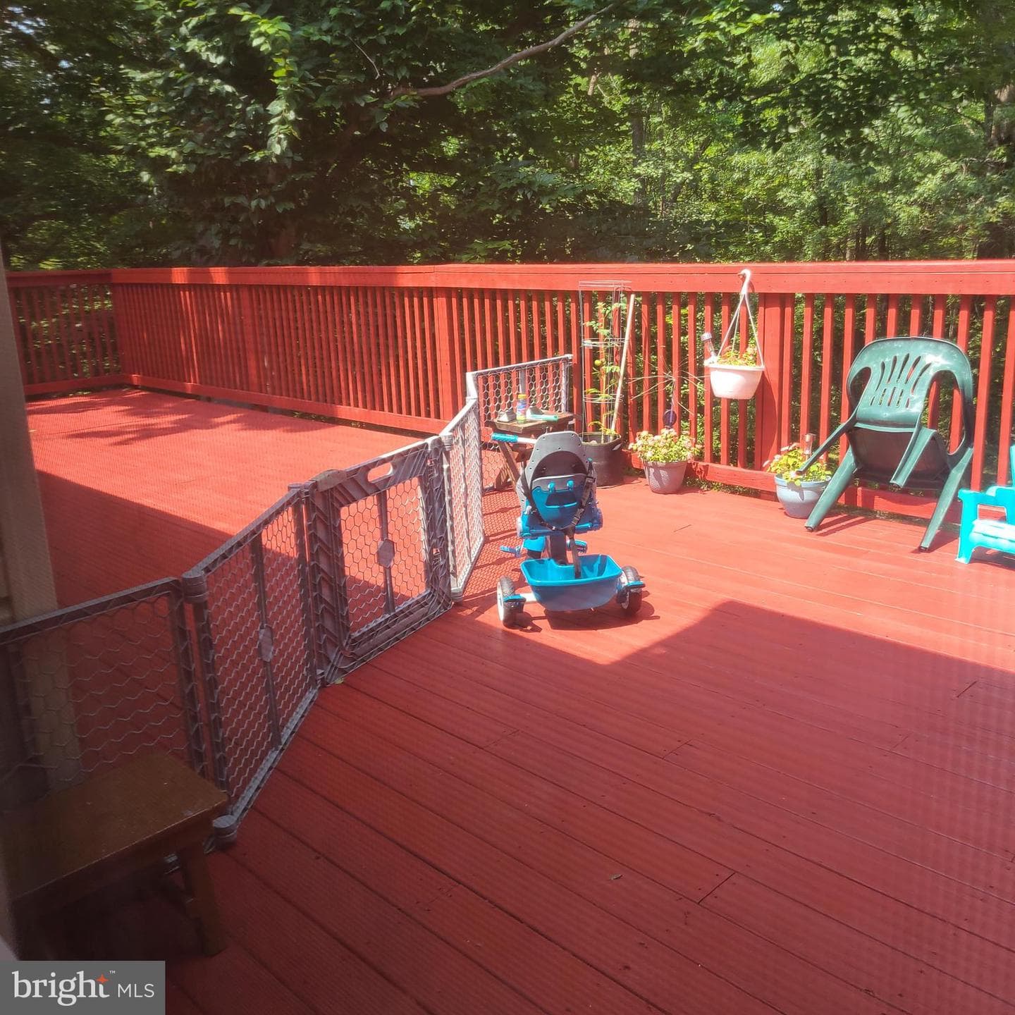 13 Whitetail Drive photo 69