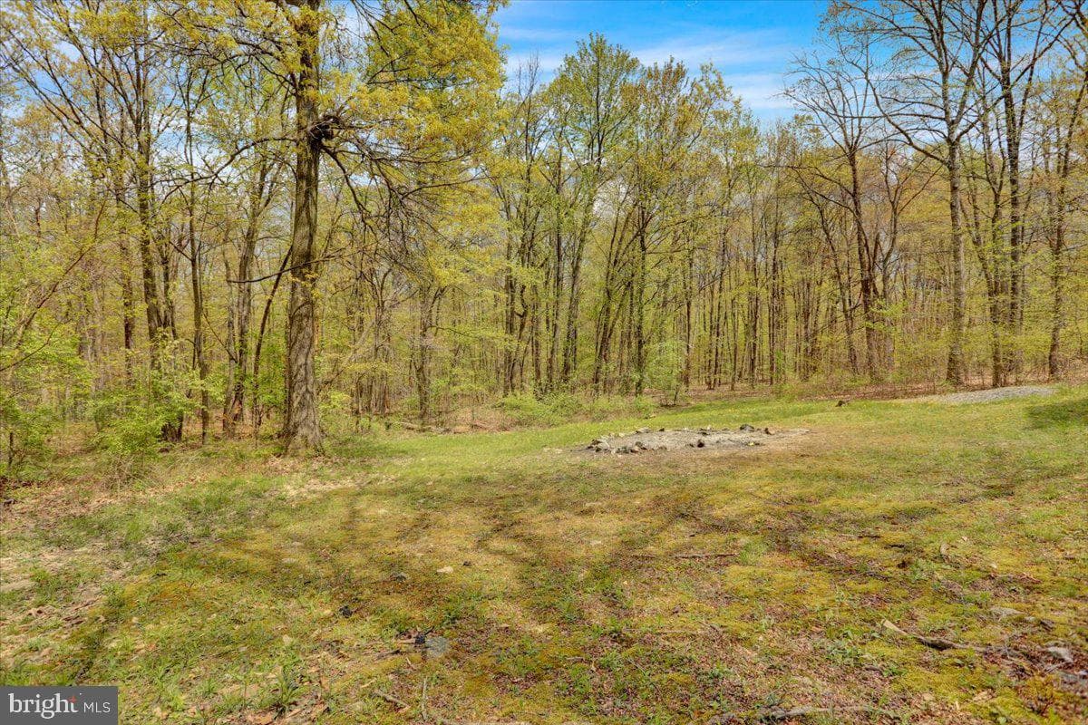 13 Whitetail Drive photo 78