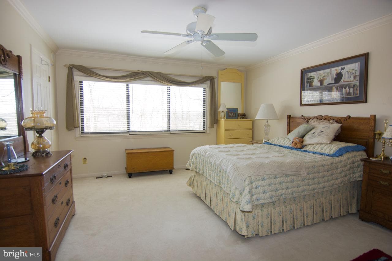 35 Pine Woods Court photo 11