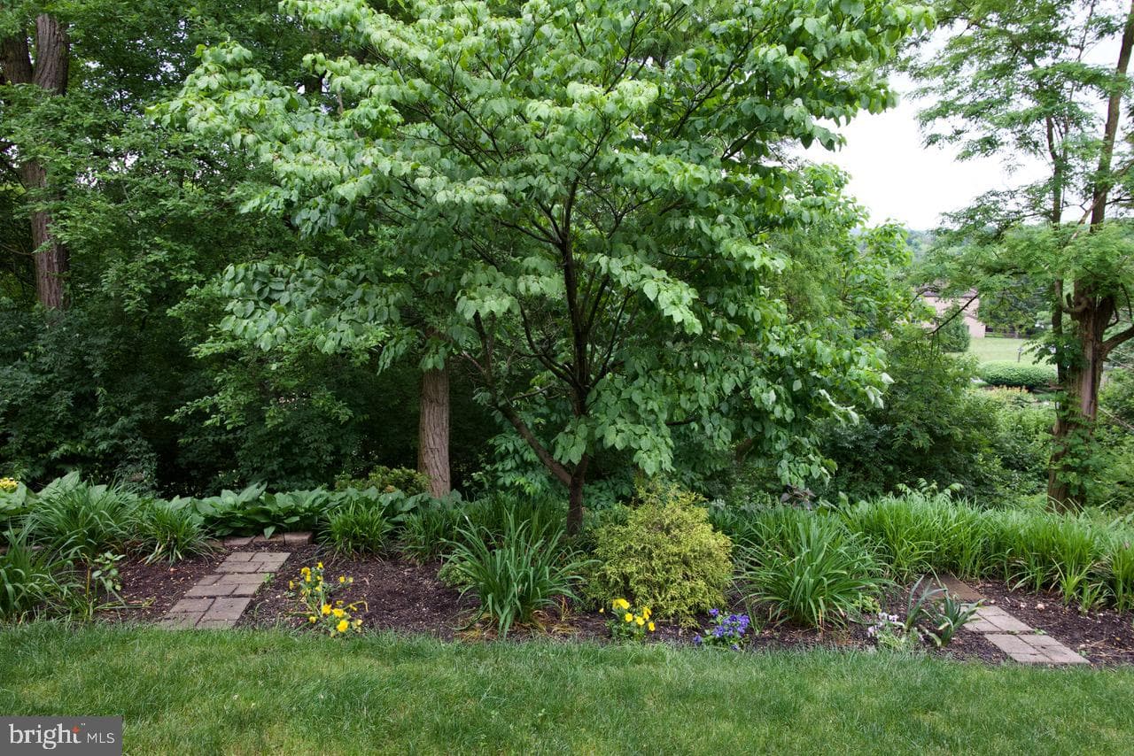 24 Pine Woods Court photo 19