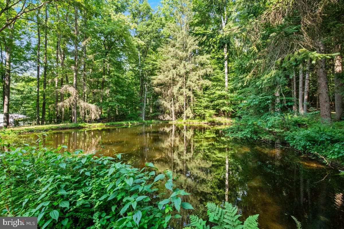 97 Hartline Road photo 50