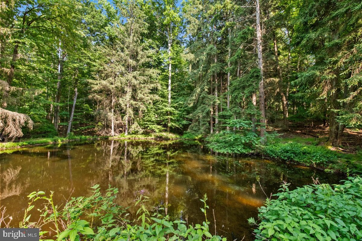 97 Hartline Road photo 51