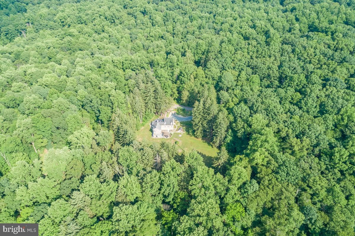 97 Hartline Road photo 62