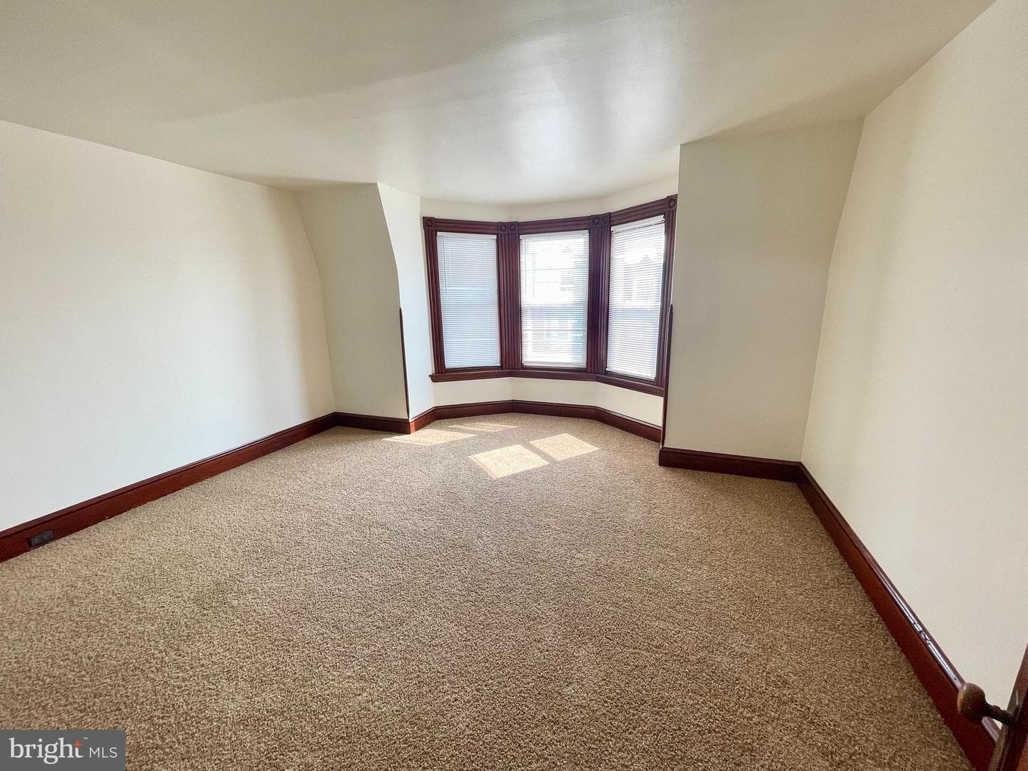 1119 Marion Street photo 19