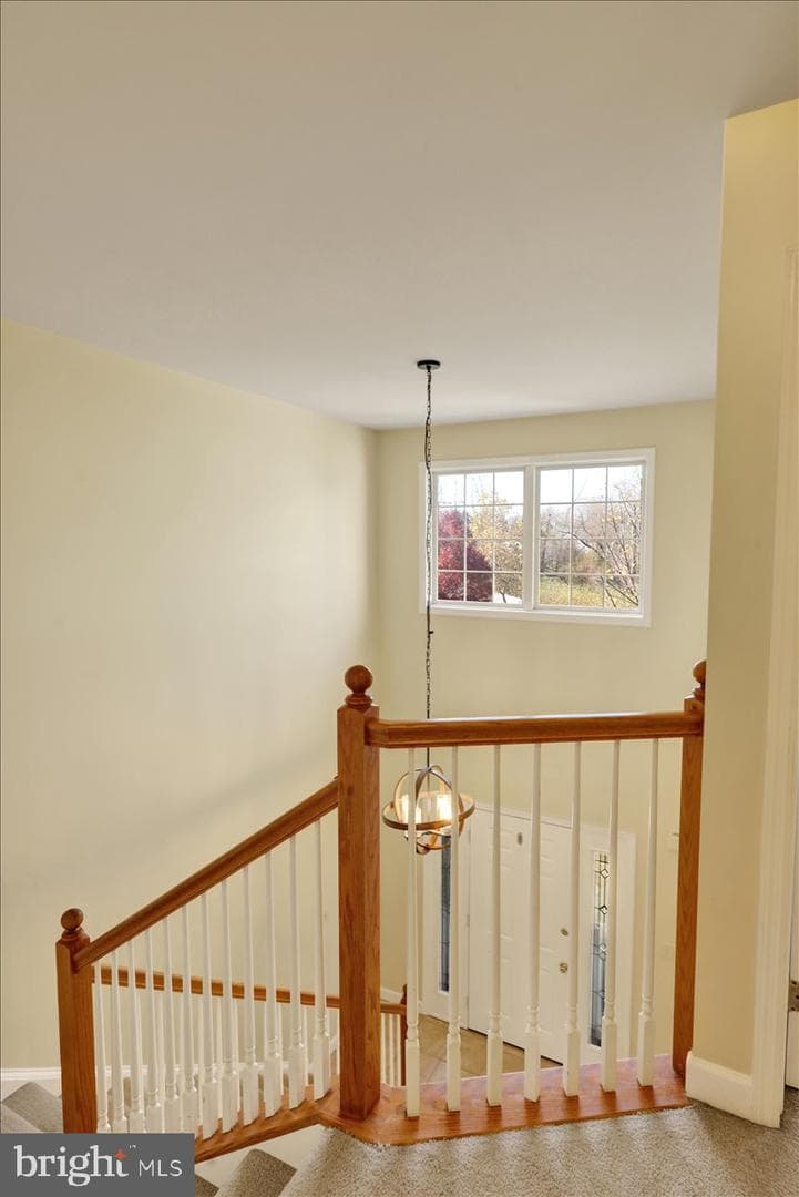 303 Diane Avenue photo 25