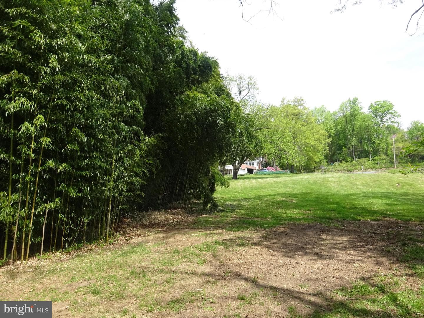 371 Wegman Road photo 107