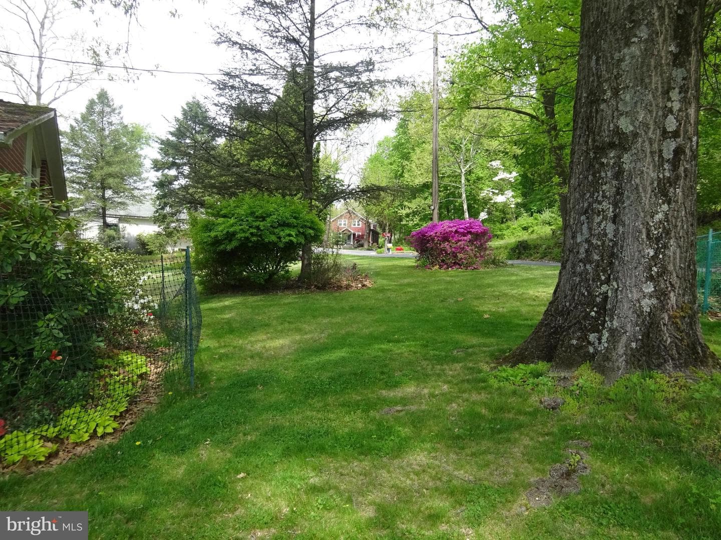 371 Wegman Road photo 61