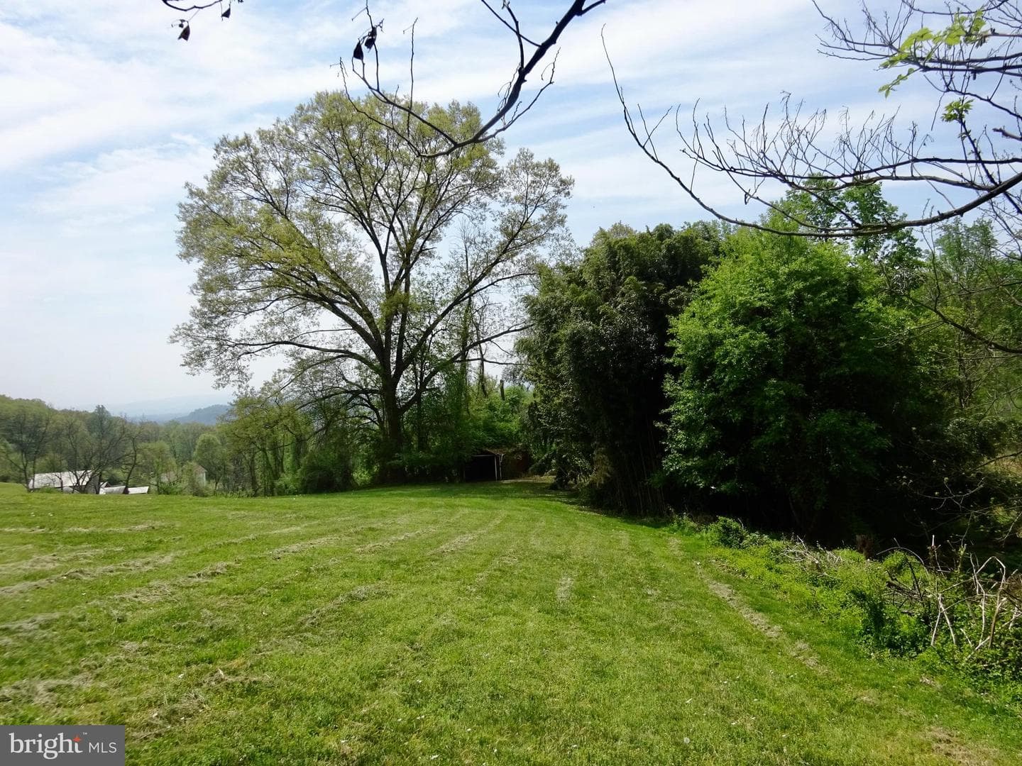 371 Wegman Road photo 63