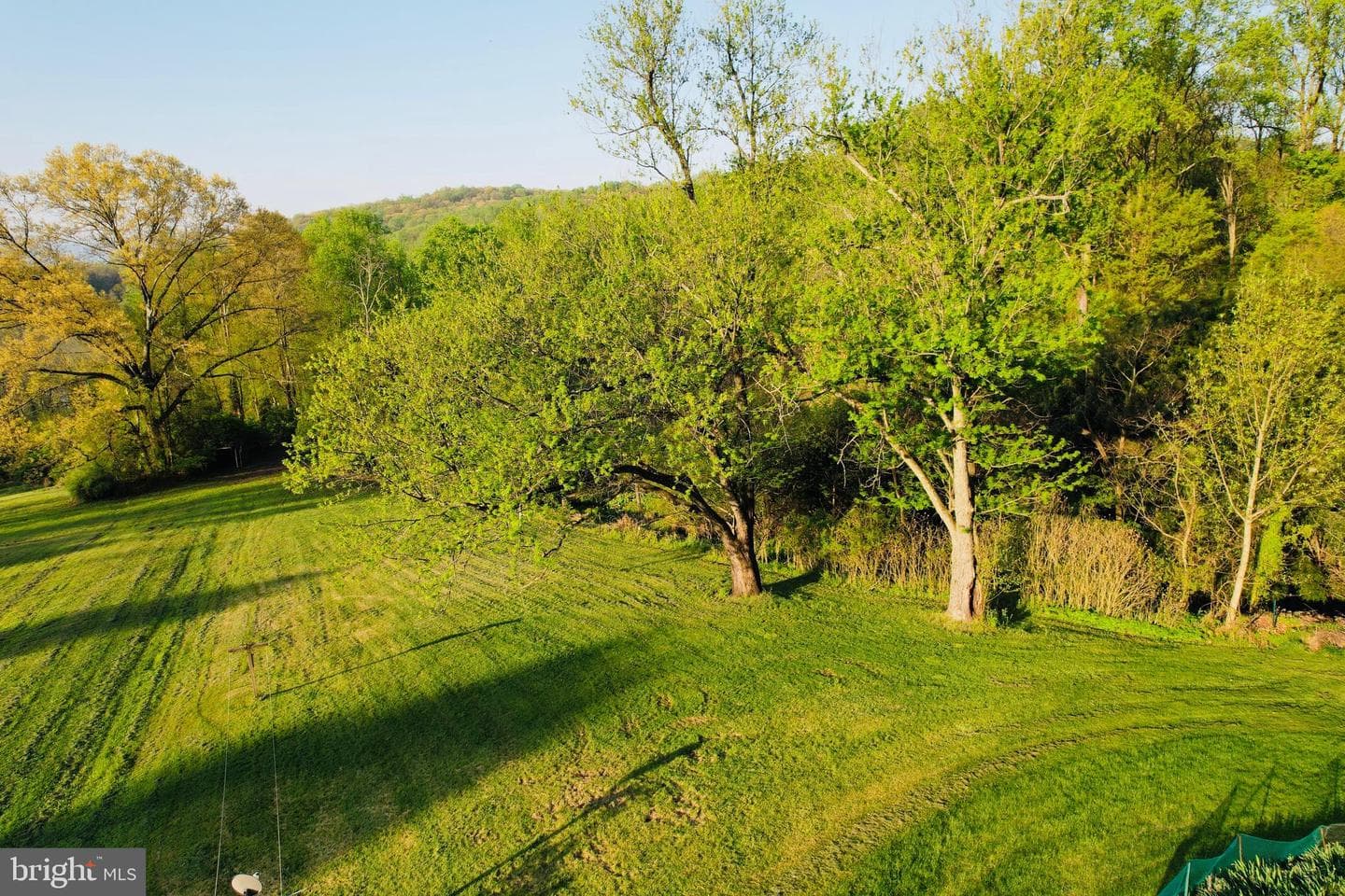 371 Wegman Road photo 77