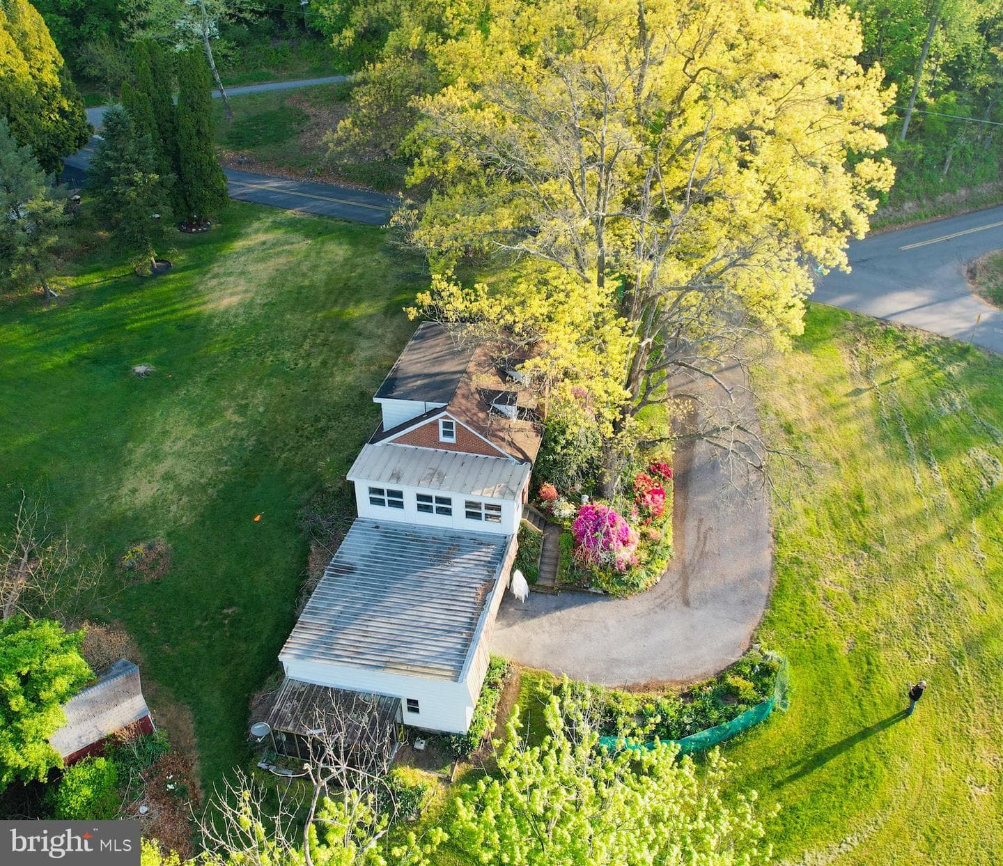371 Wegman Road photo 81