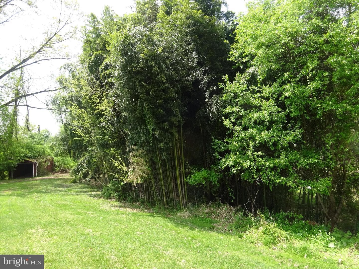 371 Wegman Road photo 82