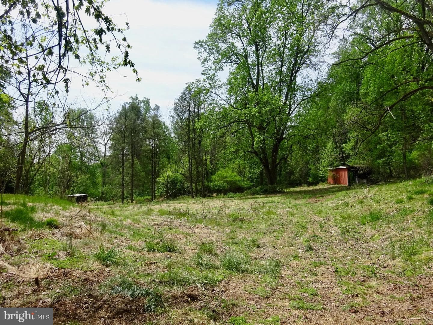 371 Wegman Road photo 87