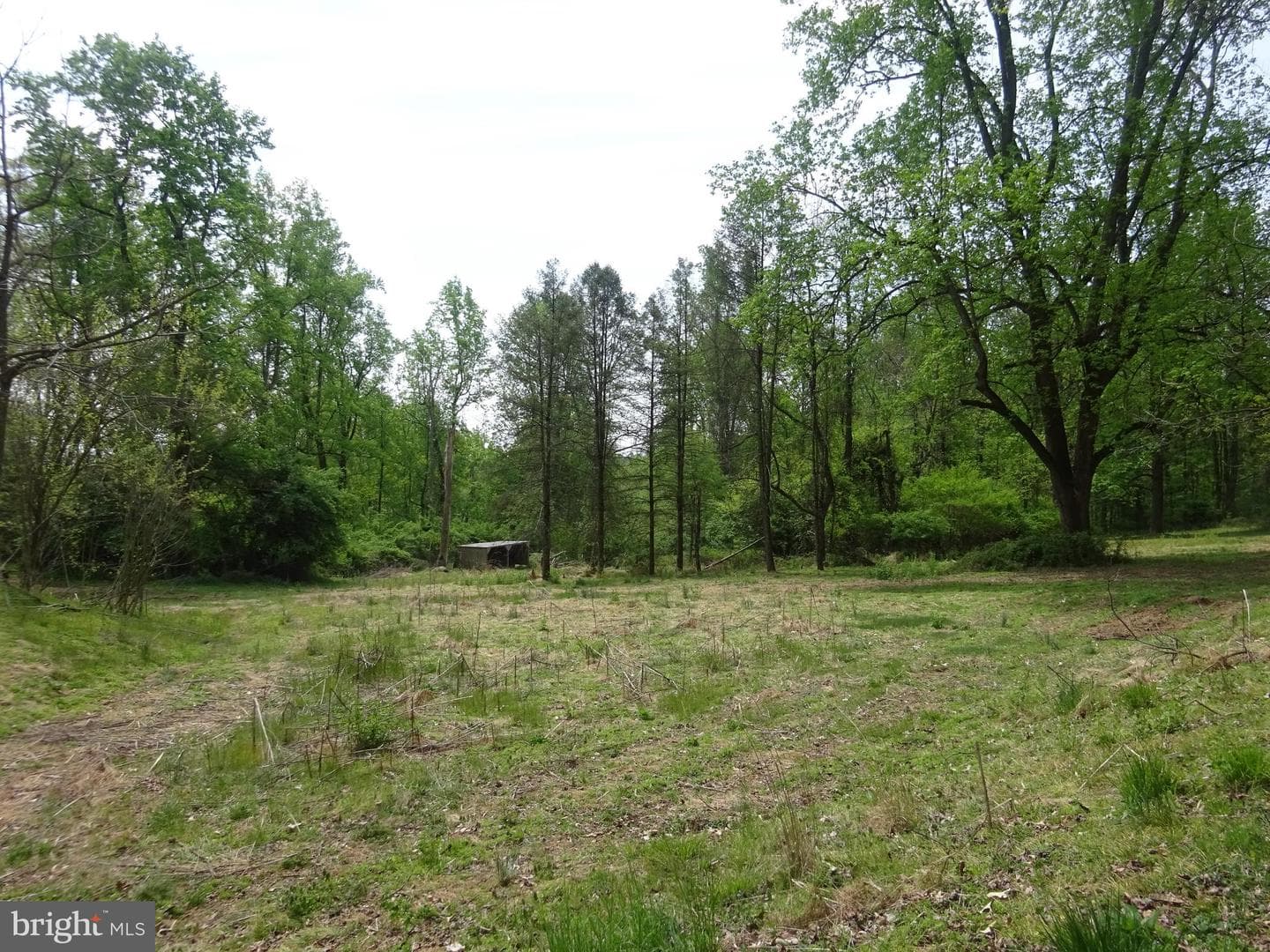 371 Wegman Road photo 89