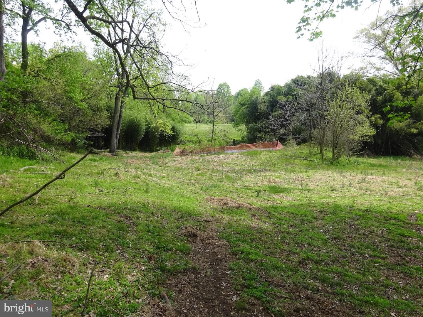 371 Wegman Road photo 90