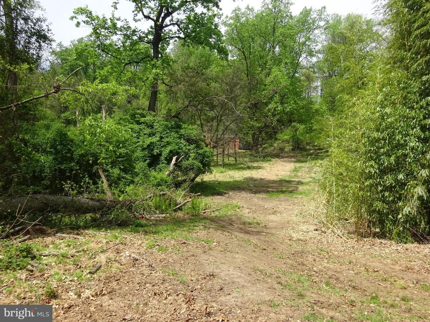 371 Wegman Road photo 96