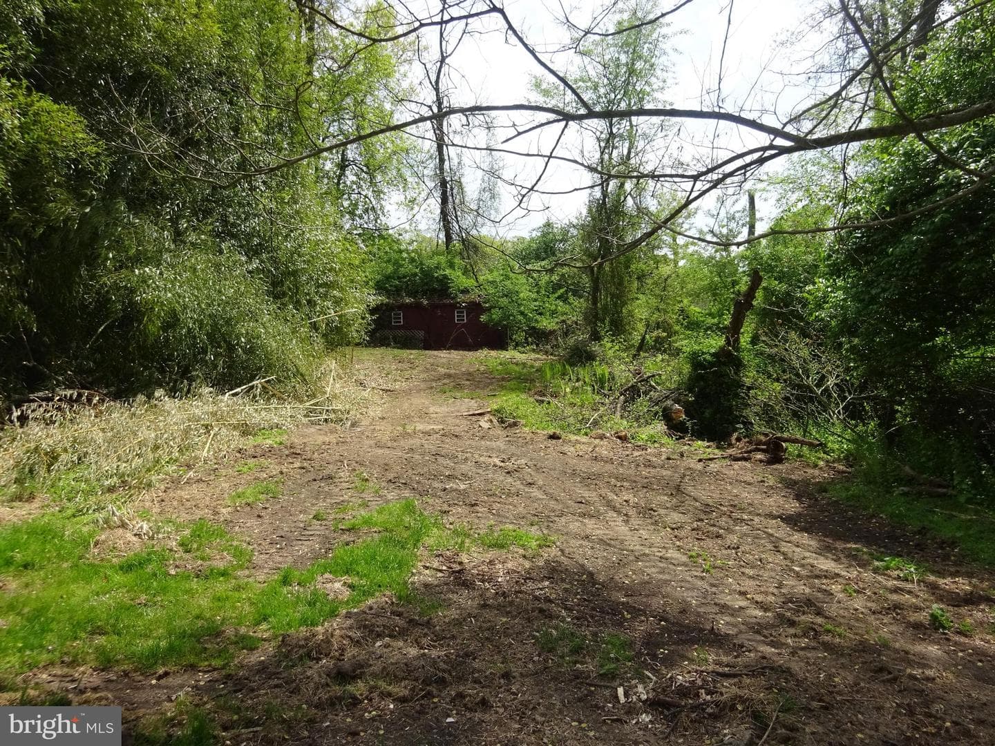 371 Wegman Road photo 97