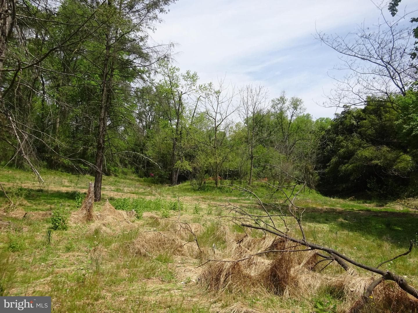 371 Wegman Road photo 98