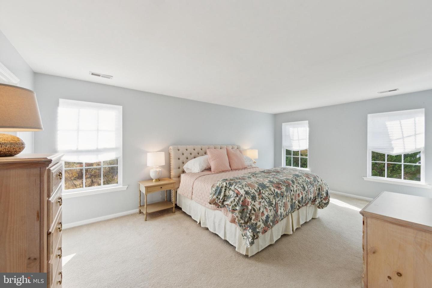 8 Leaf Creek Court photo 35