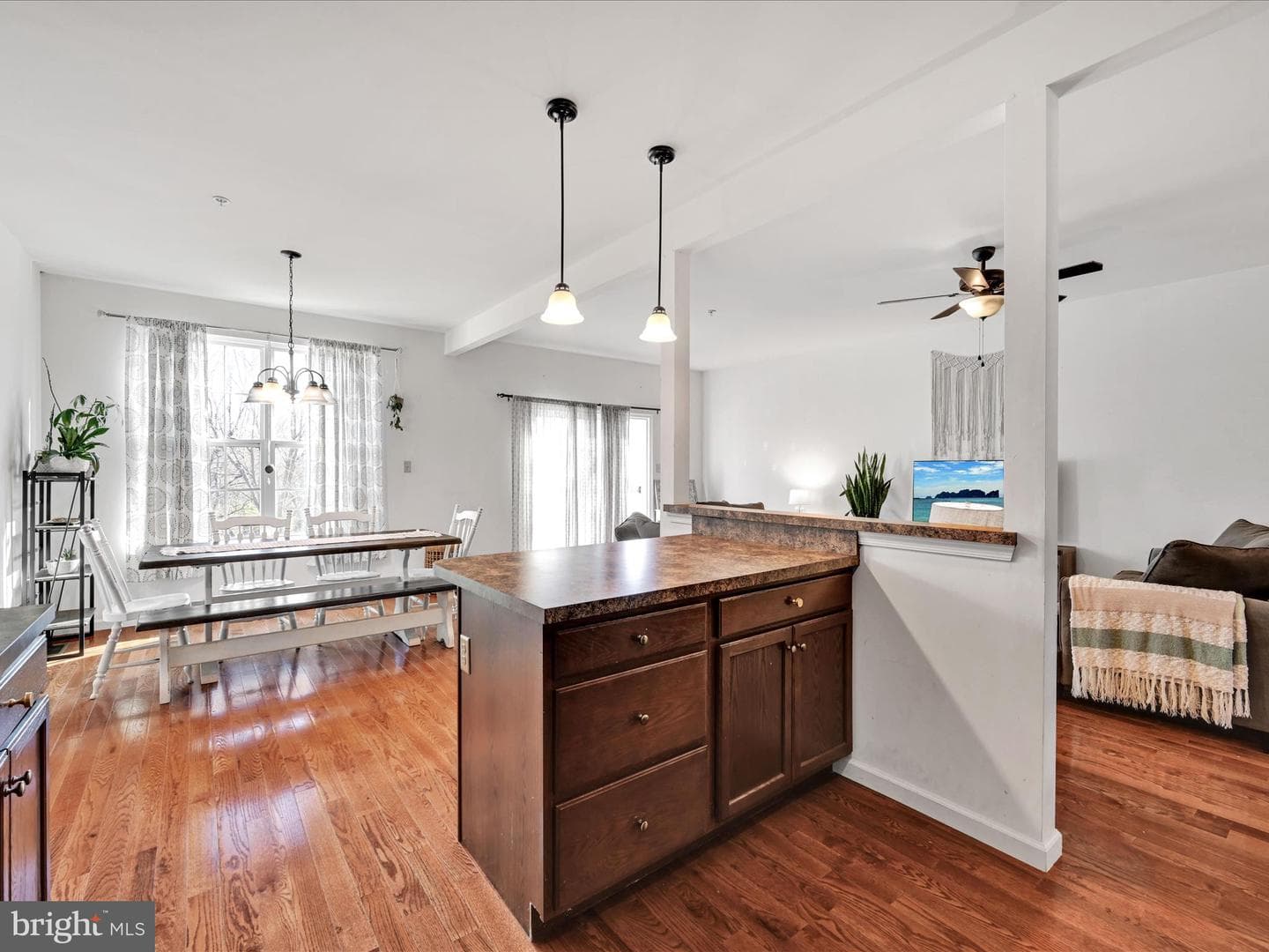53 Emily Court photo 10