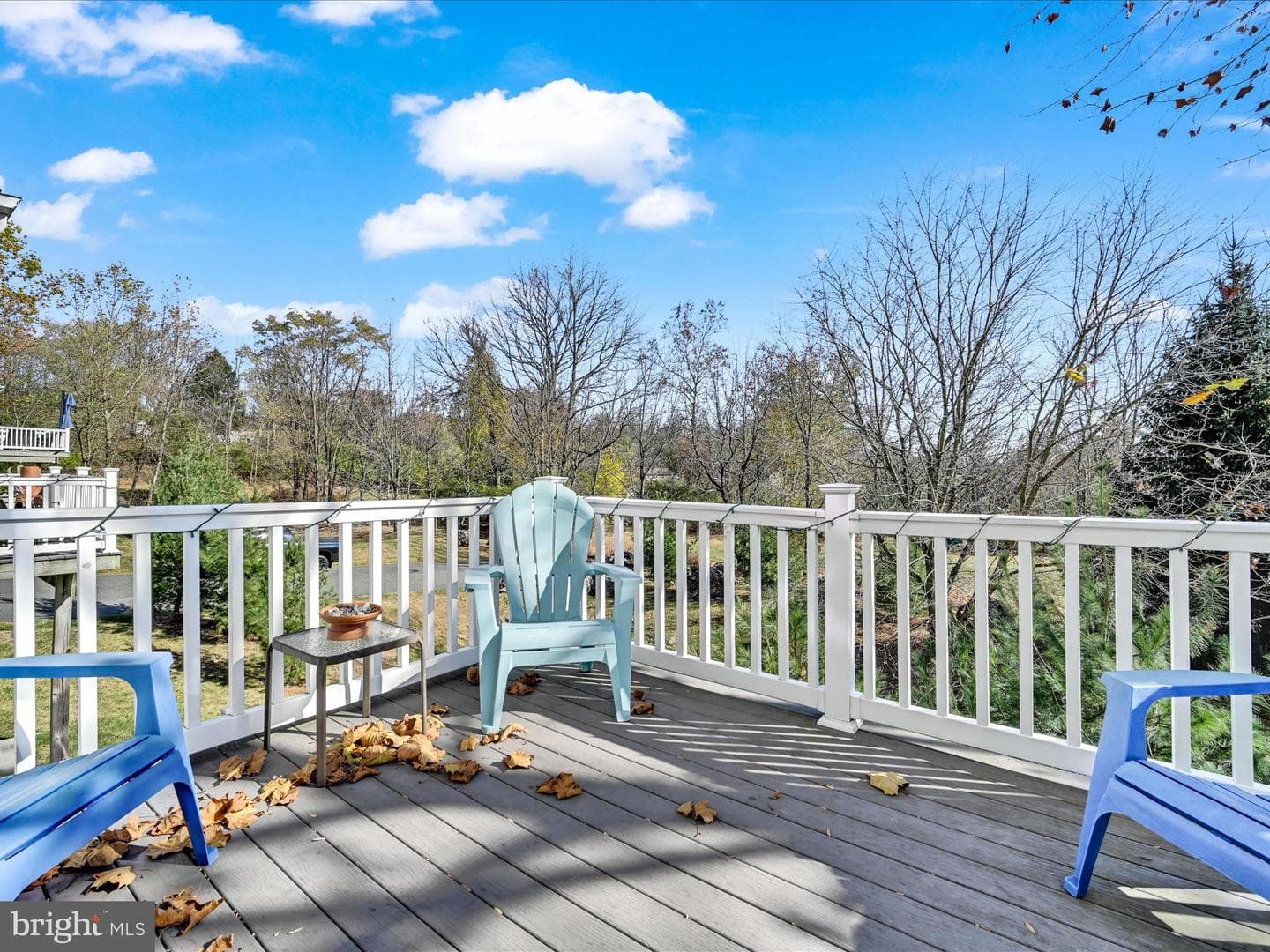 53 Emily Court photo 28