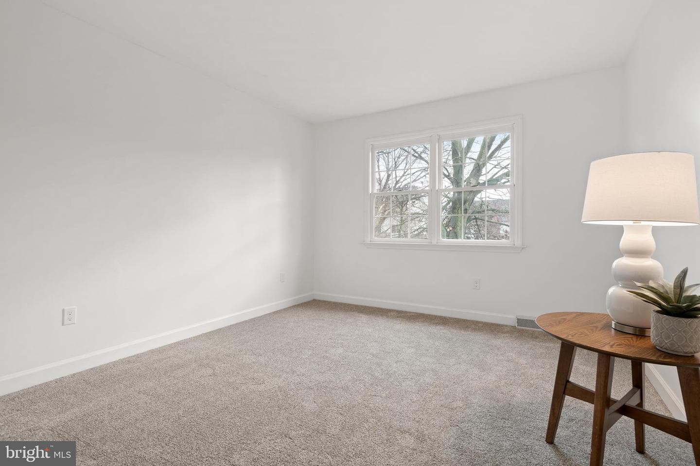 425 Coronet Drive photo 27