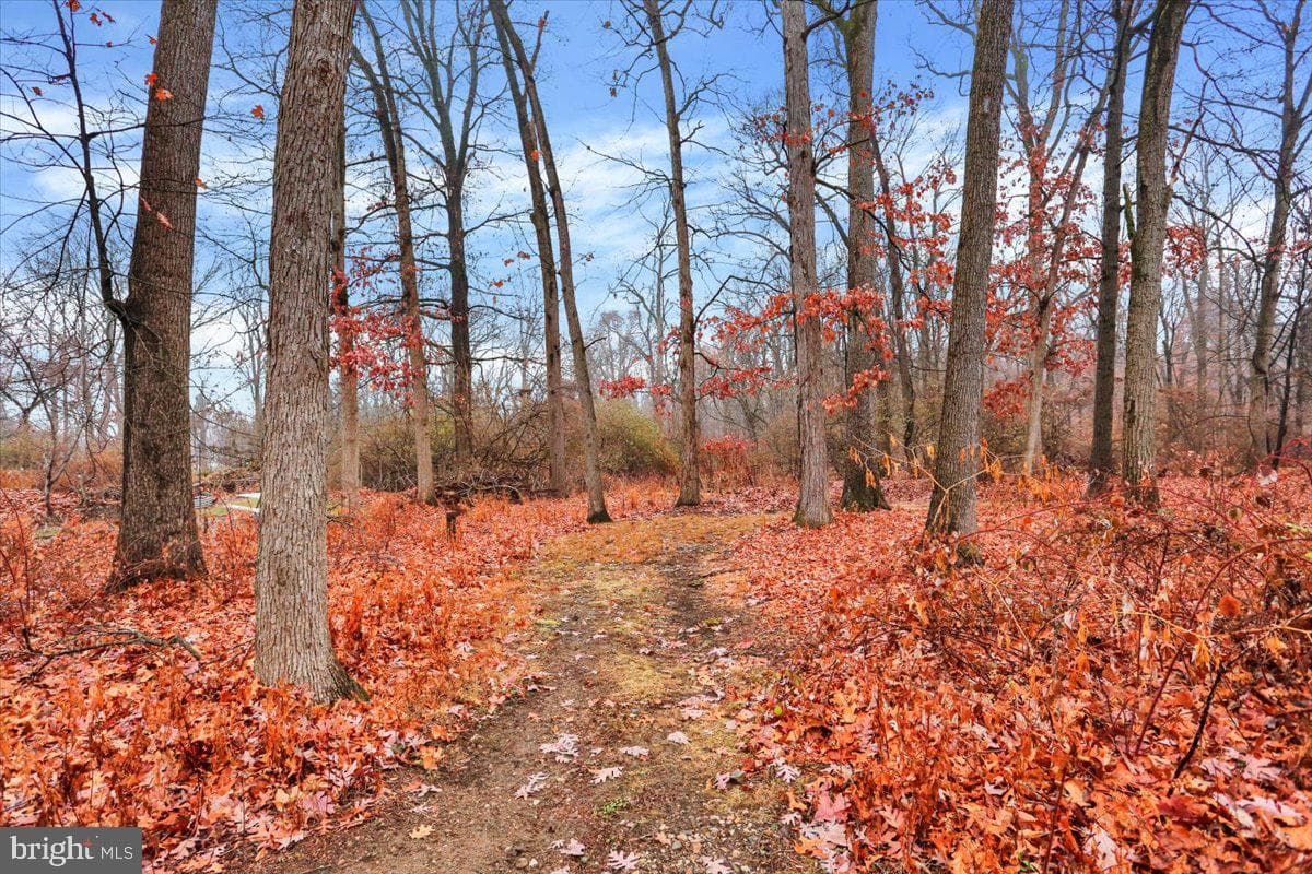 2121 Georgia Road photo 24