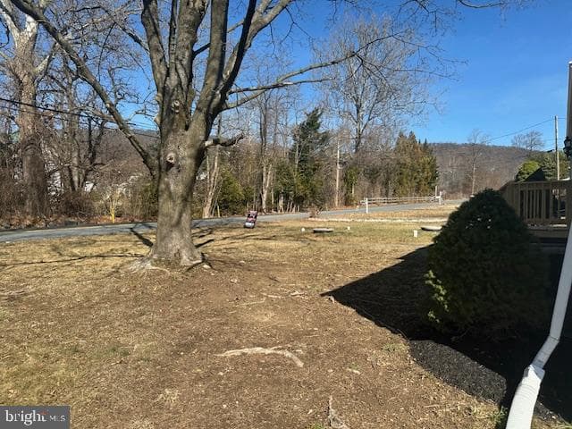 13 Vale Drive photo 20