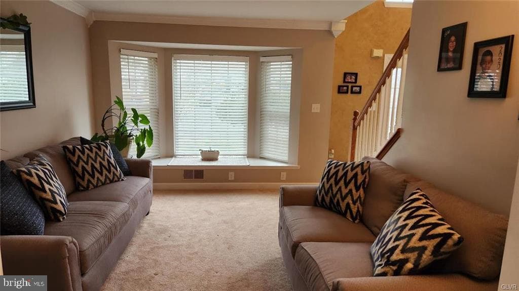 432 Riviera Drive photo 10