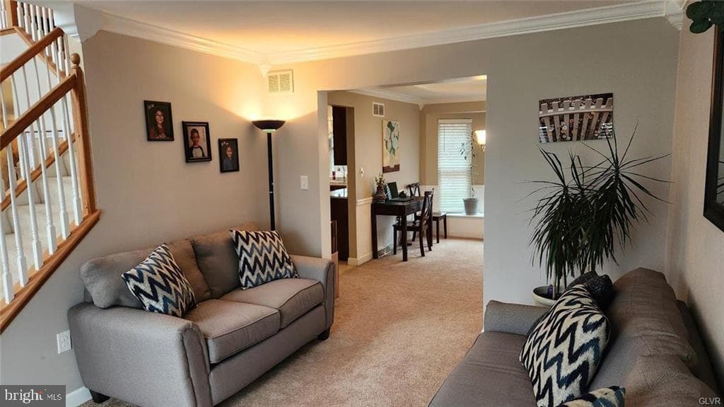 432 Riviera Drive photo 9