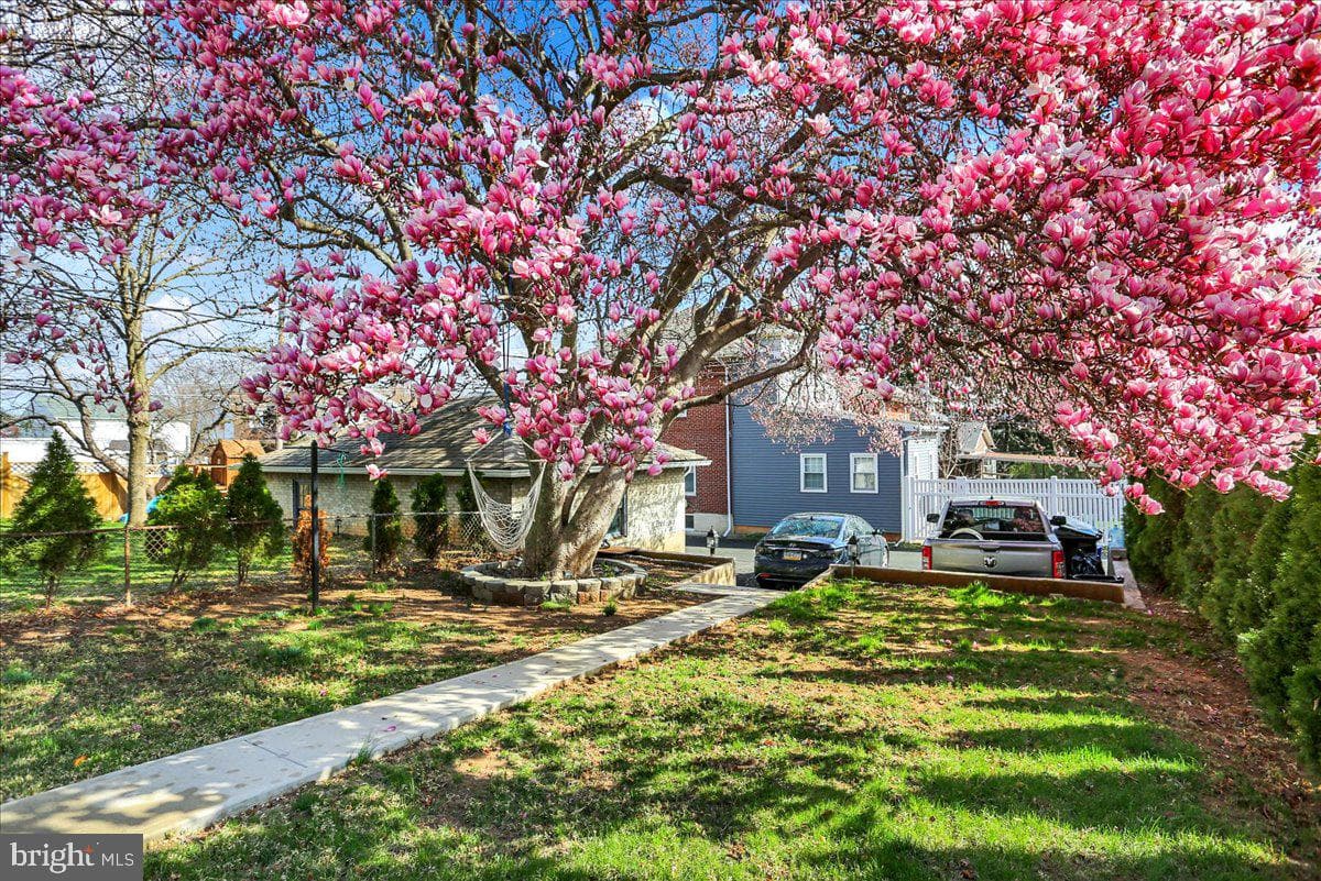 155 Tulpehocken Avenue photo 31