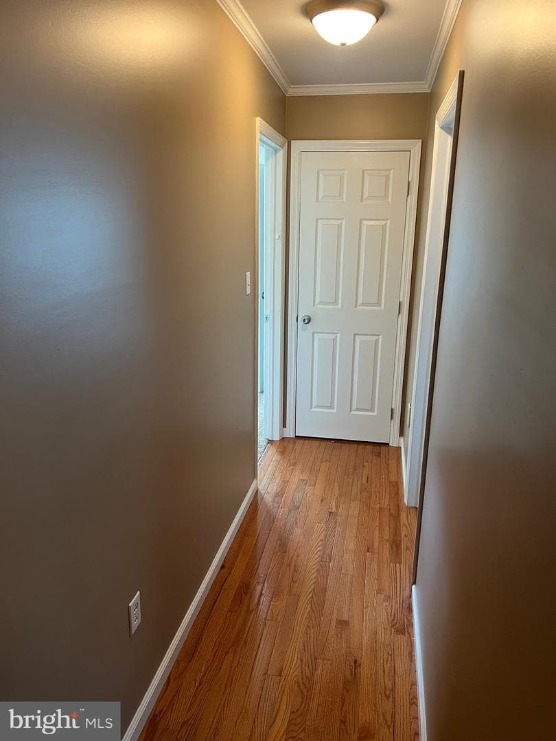 2812 Moyers Lane Lane photo 19