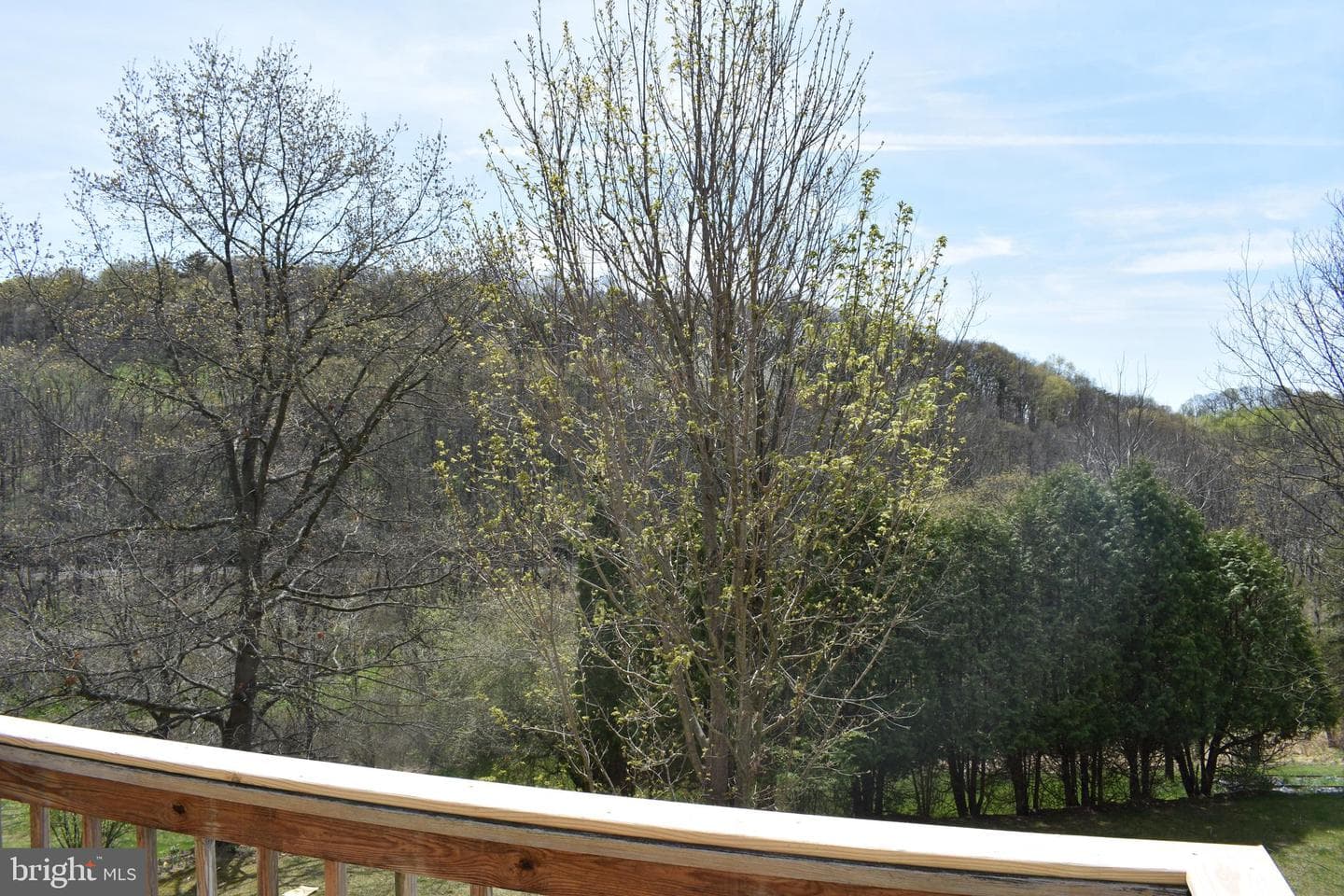 57 Skyview Drive photo 26