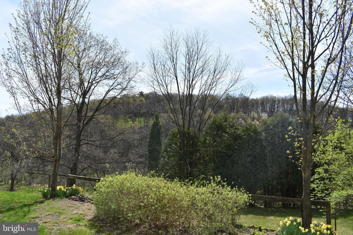 57 Skyview Drive photo 6