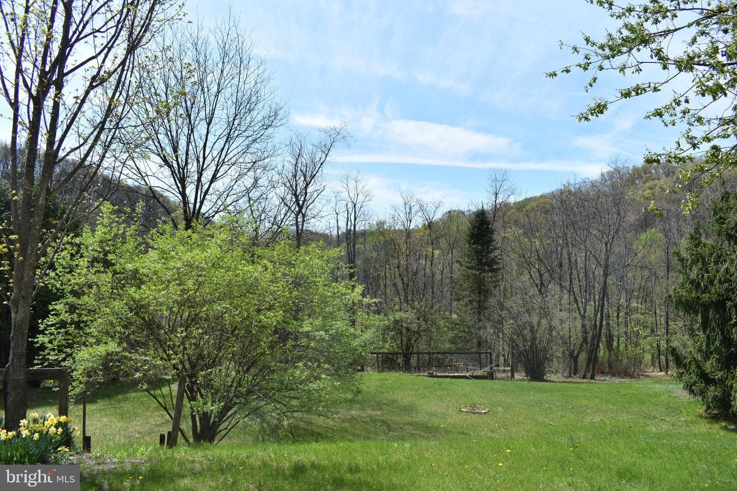 57 Skyview Drive photo 7